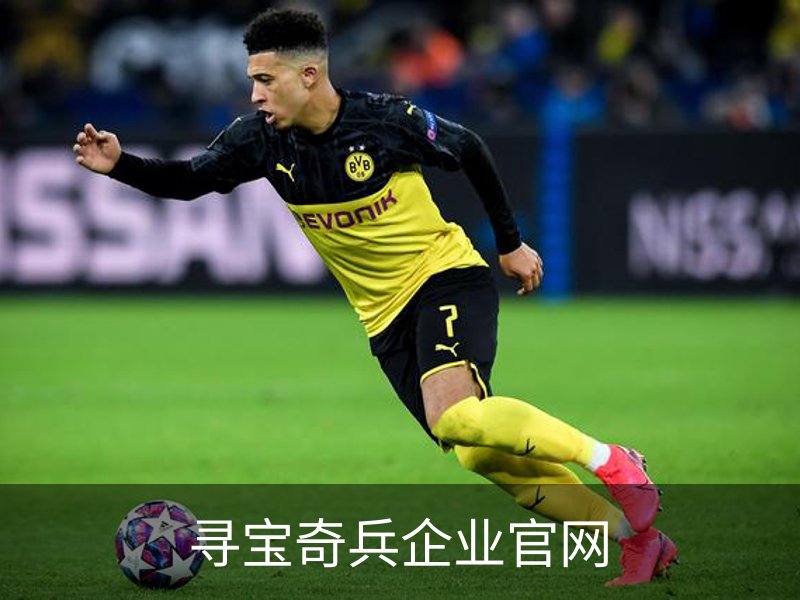 寻宝奇兵企业官网简介